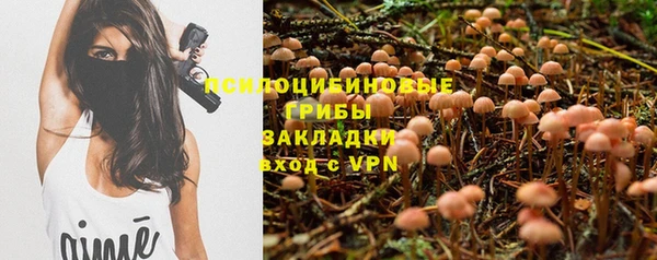 альфа пвп Коряжма
