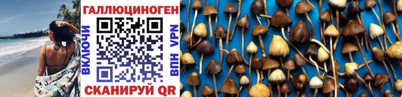 Псилоцибиновые грибы MAGIC MUSHROOMS купить наркоту Хабаровск