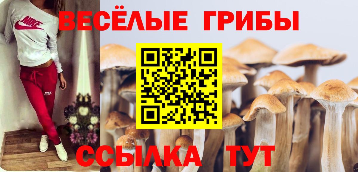 наркошоп  Вход с VPN  Хабаровск  Псилоцибиновые грибы Psilocybine cubensis 